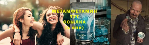 ГАЛЛЮЦИНОГЕННЫЕ ГРИБЫ Корсаков