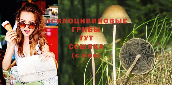 ГАЛЛЮЦИНОГЕННЫЕ ГРИБЫ Корсаков