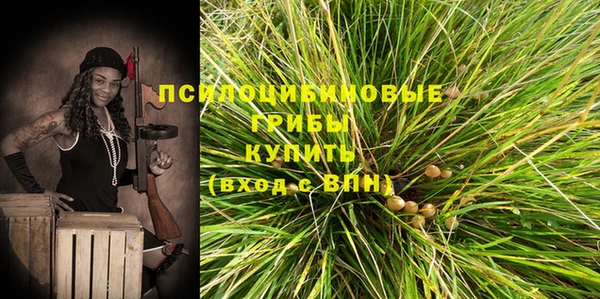 a pvp Коряжма