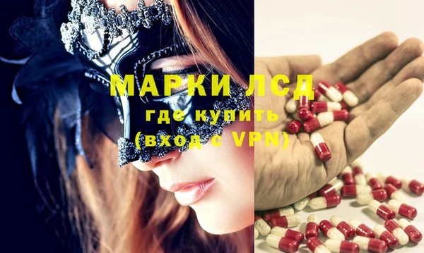 ГАЛЛЮЦИНОГЕННЫЕ ГРИБЫ Корсаков