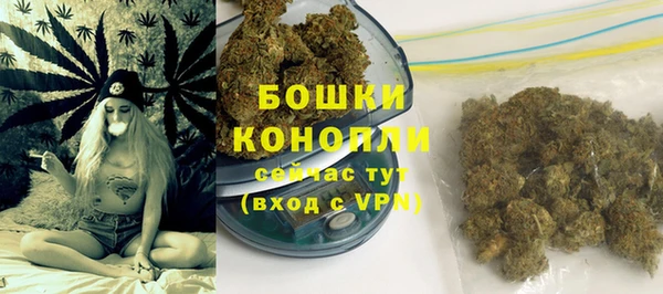 ГАЛЛЮЦИНОГЕННЫЕ ГРИБЫ Корсаков
