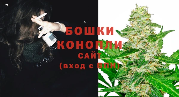 ГАЛЛЮЦИНОГЕННЫЕ ГРИБЫ Корсаков