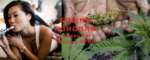 винт Костерёво