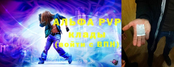 ГАЛЛЮЦИНОГЕННЫЕ ГРИБЫ Корсаков