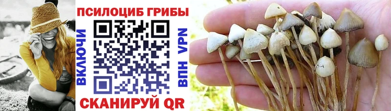 Псилоцибиновые грибы мицелий  Ачинск 